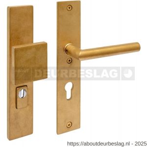 Intersteel 3962Z SKG3 veiligheidsbeslag rechthoekig 250x50 mm greep-kruk Jura profielcilindergat 72 mm met kerntrekbeveiliging RVS getrommeld - R26010850 - afbeelding 2