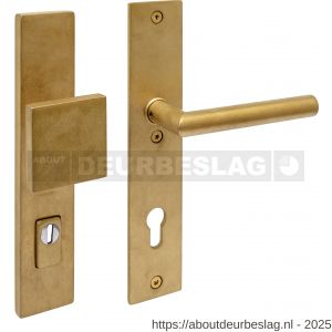 Intersteel Living 3962Z SKG3 veiligheidsbeslag rechthoekig 250x50 mm greep-kruk Jura profielcilindergat 92 mm met kerntrekbeveiliging PVD messing getrommeld - R26010931 - afbeelding 1
