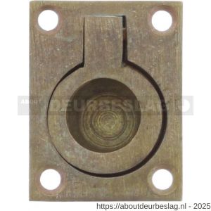 Intersteel Living 7526 luikring recht 65x49 mm messing getrommeld - R26009608 - afbeelding 1