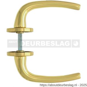 Intersteel Living 0194 deurkruk Cosmos op rozet verdekt diameter 49x7 mm messing gelakt - R26000323 - afbeelding 2