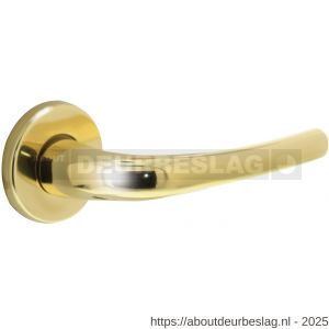 Intersteel Living 0194 deurkruk Cosmos op rozet verdekt diameter 49x7 mm messing gelakt - R26000323 - afbeelding 1