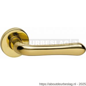 Intersteel Living 0198 deurkruk Saturnus op rozet verdekt diameter 49x7 mm messing gelakt - R26000327 - afbeelding 1