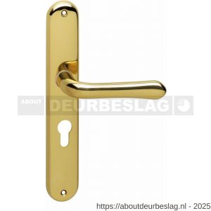 Intersteel Living 0198 deurkruk Saturnus op schild ovaal 236x37 mm profielcilindergat 55 mm messing gelakt - R26001669 - afbeelding 1
