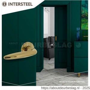 Intersteel Living 0199 deurkruk Sigaar op rozet verdekt diameter 49x7 mm messing gelakt - R26000330 - afbeelding 4