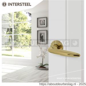 Intersteel Living 0199 deurkruk Sigaar op rozet verdekt diameter 49x7 mm messing gelakt - R26000330 - afbeelding 5