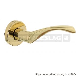 Intersteel Living 0282 deurkruk Vlinder met rozet verdekt diameter 52x10 mm messing gelakt - R26004746 - afbeelding 1