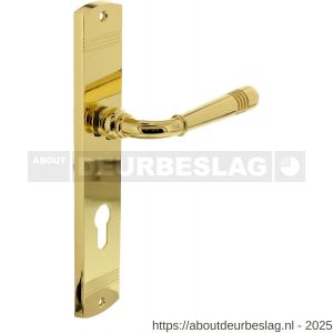 Intersteel Living 1705 deurkruk Helena op schild afgerond 235x45 mm profielcilindergat 72 mm PVD messingkleur - R26004789 - afbeelding 1