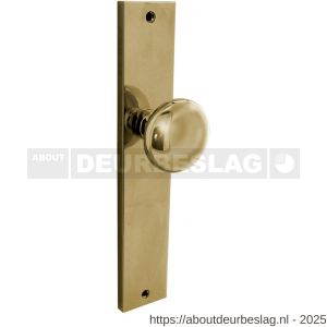 Intersteel Living 2128 knopschild 245x45 mm blind PVD messingkleur - R26010193 - afbeelding 1