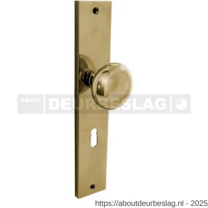 Intersteel Living 2128 knopschild 245x45 mm sleutelgat 56 mm PVD messingkleur - R26010194 - afbeelding 1