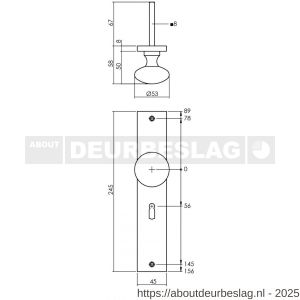 Intersteel Living 2128 knopschild 245x45 mm sleutelgat 56 mm PVD messingkleur - R26010194 - afbeelding 2