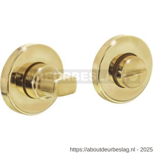 Intersteel Living 3186 WC-sluiting verdekt diameter 49x7 mm met stift 8x8 mm messing gelakt - R26002725 - afbeelding 1