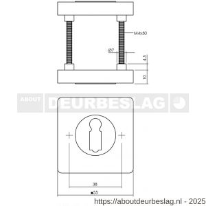 Intersteel Living 3191 sleutelrozetten verdekt 55x55x10 mm met nokken PVD messingkleur - R26010200 - afbeelding 2