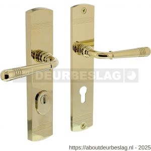 Intersteel Living 3777 achterdeurbeslag Helena 239x50 mm kruk-kruk profielcilindergat 72 mm met kerntrekbeveiliging PVD messingkleur - R26010203 - afbeelding 1