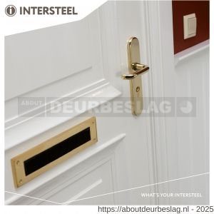Intersteel Living 3820 SKG3 veiligheidsbeslag ovaal verdekt 252x54 mm greep-kruk Rond profielcilindergat 72 mm met kerntrekbeveiliging messing gelakt - R26003419 - afbeelding 3
