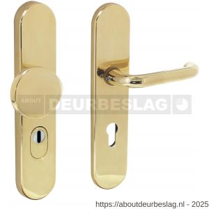 Intersteel Living 3820 SKG3 veiligheidsbeslag ovaal verdekt 252x54 mm greep-kruk Rond profielcilindergat 72 mm met kerntrekbeveiliging messing gelakt - R26003419 - afbeelding 1