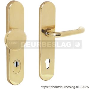 Intersteel Living 3820 SKG3 veiligheidsbeslag ovaal verdekt 252x54 mm greep-kruk Rond profielcilindergat 92 mm met kerntrekbeveiliging messing gelakt - R26003420 - afbeelding 1