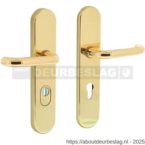 Intersteel Living 3821Z SKG3 veiligheidsbeslag ovaal verdekt 252x54 mm kruk-kruk Rond profielcilindergat 72 mm met kerntrekbeveiliging messing gelakt - R26007953 - afbeelding 1
