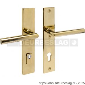 Intersteel 3964 SKG3 veiligheidsbeslag rechthoekig 250x50 mm kruk-kruk Jura met veerconstructie profielcilindergat 92 mm met kerntrekbeveiliging PVD messingkleur - R26010888 - afbeelding 1