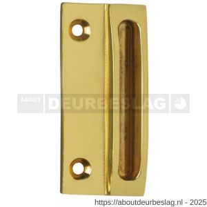 Intersteel Living 5615 sluitplaat met kom 70x30 mm messing gelakt - R26007710 - afbeelding 1
