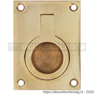 Intersteel Living 7526 luikring recht 41x31 mm messing gelakt - R26009606 - afbeelding 1