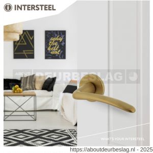 Intersteel Living 0466 deurkruk Zaia met rozet verdekt diameter 49x7 mm met nokken PVD messing mat - R26009870 - afbeelding 2