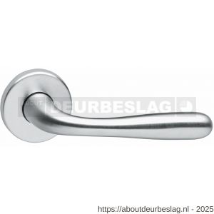 Intersteel Living 0195 deurkruk Jupiter op rozet verdekt diameter 49x7 mm chroom mat - R26000241 - afbeelding 1