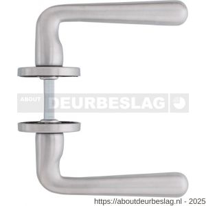 Intersteel Living 0197 deurkruk Yvonne op rozet verdekt diameter 49x7 mm chroom mat - R26000407 - afbeelding 2
