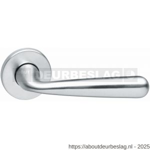 Intersteel Living 0197 deurkruk Yvonne op rozet verdekt diameter 49x7 mm chroom mat - R26000407 - afbeelding 1