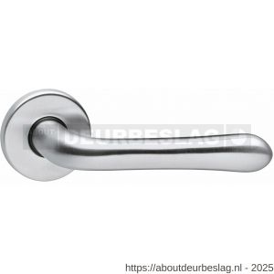 Intersteel Living 0198 deurkruk Saturnus op rozet verdekt diameter 49x7 mm chroom mat - R26000409 - afbeelding 1
