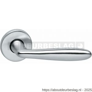 Intersteel Living 0200 deurkruk Phobos op rozet verdekt diameter 49x7 mm chroom mat - R26000414 - afbeelding 1