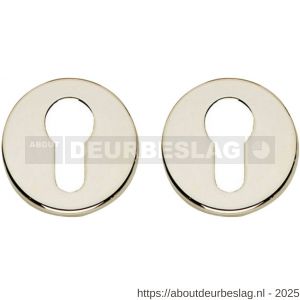 Intersteel Living 3186 cilinderrozetten verdekt diameter 49x7 mm nikkel - R26011128 - afbeelding 1