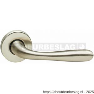 Intersteel Living 0195 deurkruk Jupiter op rozet verdekt diameter 49x7 mm nikkel mat - R26007326 - afbeelding 1