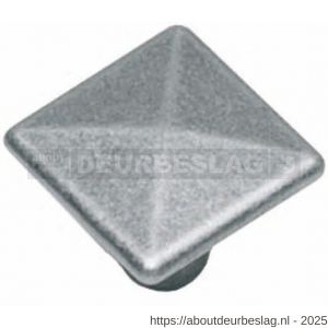 Intersteel Living 8478 knop vierkant kruis 26 mm grijs - R26004128 - afbeelding 1