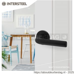 Intersteel Living 0054 deurkruk Eucla met rozet verdekt diameter 50x7 mm met nokken zwart - R26009112 - afbeelding 4