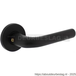 Intersteel Living 0054 deurkruk Eucla met rozet verdekt diameter 50x7 mm met nokken zwart - R26009112 - afbeelding 1
