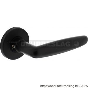 Intersteel Living 0225 deurkruk Sophie met rozet verdekt diameter 49x7 mm zwart - R26008184 - afbeelding 1