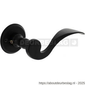 Intersteel Living 0292 deurkruk Lepel met rozet diameter 50x5 mm zwart - R26008188 - afbeelding 1