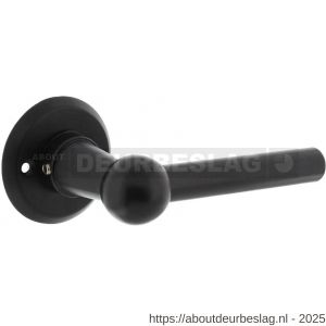 Intersteel Living 0446 deurkruk L/L bol met rozet diameter 50x5 mm zwart - R26010242 - afbeelding 1