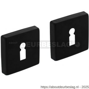 Intersteel Living 3093 sleutelrozetten verdekt 50x50x10 mm met nokken zwart - R26011139 - afbeelding 1