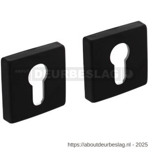 Intersteel Living 3093 cilinderrozetten verdekt 50x50x10 mm met nokken zwart - R26011140 - afbeelding 1