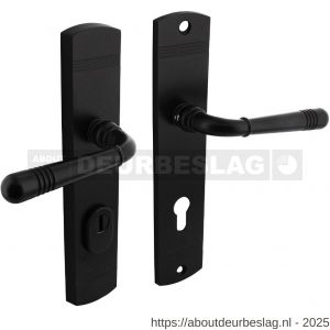 Intersteel Living 3777 achterdeurbeslag Helena 239x50 mm kruk-kruk profielcilindergat 72 mm met kerntrekbeveiliging zwart - R26010801 - afbeelding 1