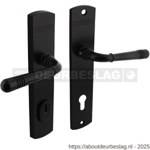 Intersteel Living 3777 achterdeurbeslag Helena 239x50 mm kruk-kruk profielcilindergat 92 mm met kerntrekbeveiliging zwart - R26010802 - afbeelding 1