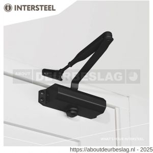 Intersteel Living 4801 deurdr.122+schaararm179x42x64 zwart - R26007235 - afbeelding 3