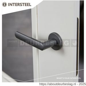 Intersteel Living 0464 deurkruk Sora met rozet verdekt diameter 49x7 mm met nokken grijs - R26009970 - afbeelding 4