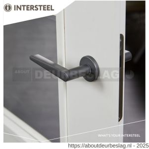 Intersteel Living 0465 deurkruk Tiga met rozet verdekt diameter 49x7 mm met nokken grijs - R26009973 - afbeelding 4