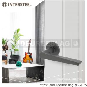 Intersteel Living 0465 deurkruk Tiga met rozet verdekt diameter 49x7 mm met nokken grijs - R26009973 - afbeelding 3