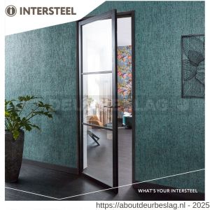 Intersteel Living 0920 deurkruk Jura met rozet zelfklevend diameter 30x3 mm antraciet grijs - R26010348 - afbeelding 3