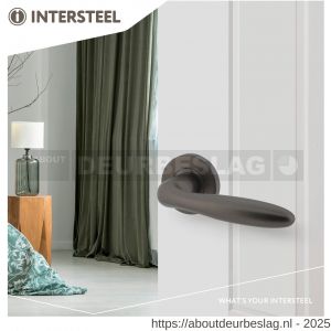 Intersteel Living 1281 deurkruk Jupiter op rozet verdekt diameter 53x8 mm met nokken antraciet grijs - R26010364 - afbeelding 2