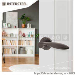 Intersteel Living 1695 deurkruk George op rozet verdekt diameter 52x10 mm met nokken antraciet grijs - R26009985 - afbeelding 2