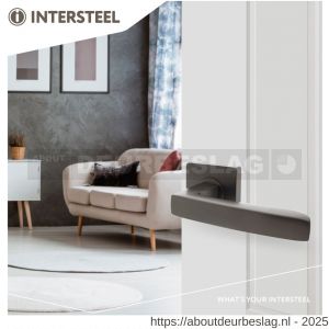 Intersteel Living 1712 deurkruk Minos op rozet verdekt 55x55x10 mm met nokken antraciet grijs - R26009991 - afbeelding 3